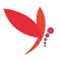 蜻蜓主播APP官方公众平台
