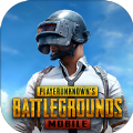 pubg国际版最新版官方2.0安卓版