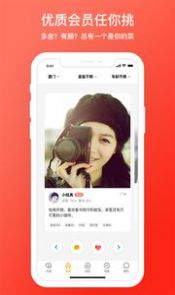 d6社区面具舞会app软件