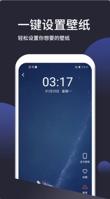 动态手机壁纸大全app官方版