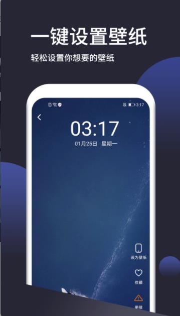 动态手机壁纸大全app官方版