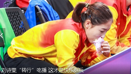 凤凰新闻网手机版