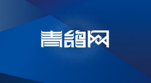 青鸽网app安卓版