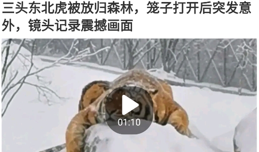 趣头条自媒体平台