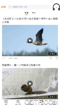钱江晚报小时新闻客户端