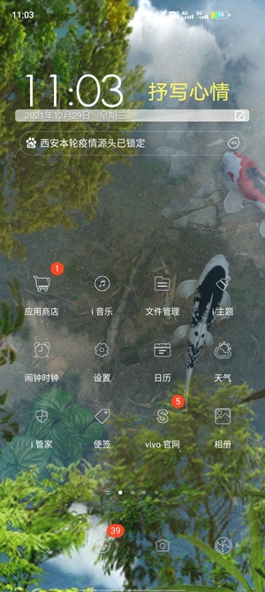 Water Garden锦鲤池塘动态壁纸会员版(鱼池)