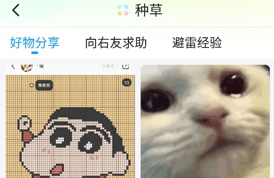 最右app官方版