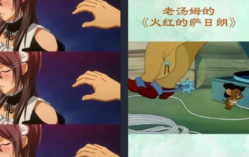 天天来电秀app安卓版