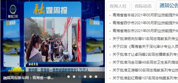 青海人社通查询医保余额平台