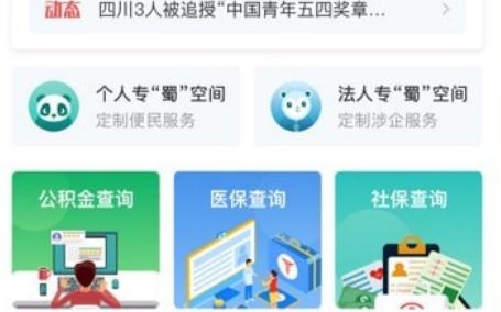 川政通个人档案查询软件