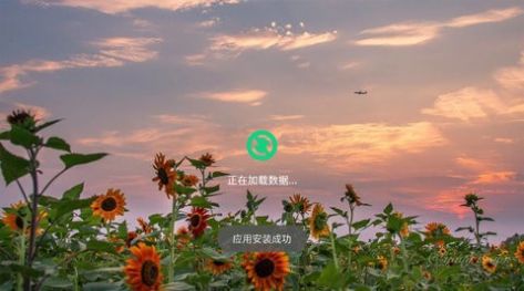 乐道t