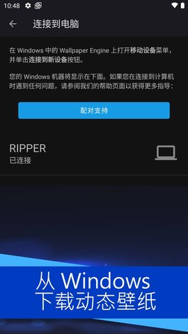 Wallpaper Engine(壁纸引擎可透视文件真人版麻匪)