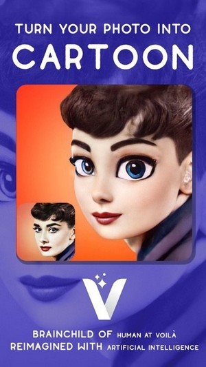 VOILA app