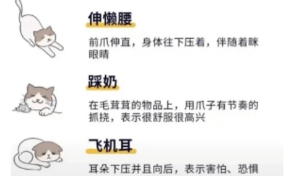 宠物笔记app最新版