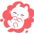 猫咪助手13.0答题软件最新