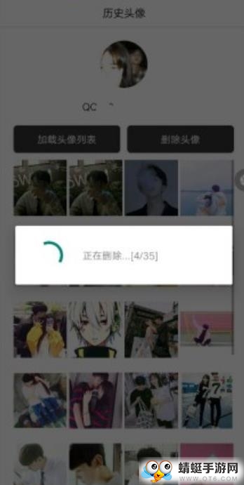 历史头像查询绿色版