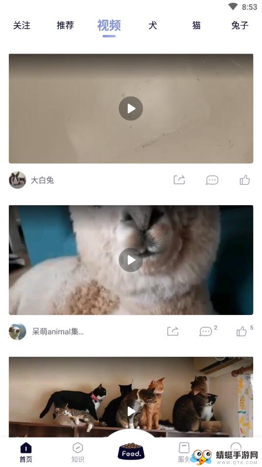 Feed（宠物社区）