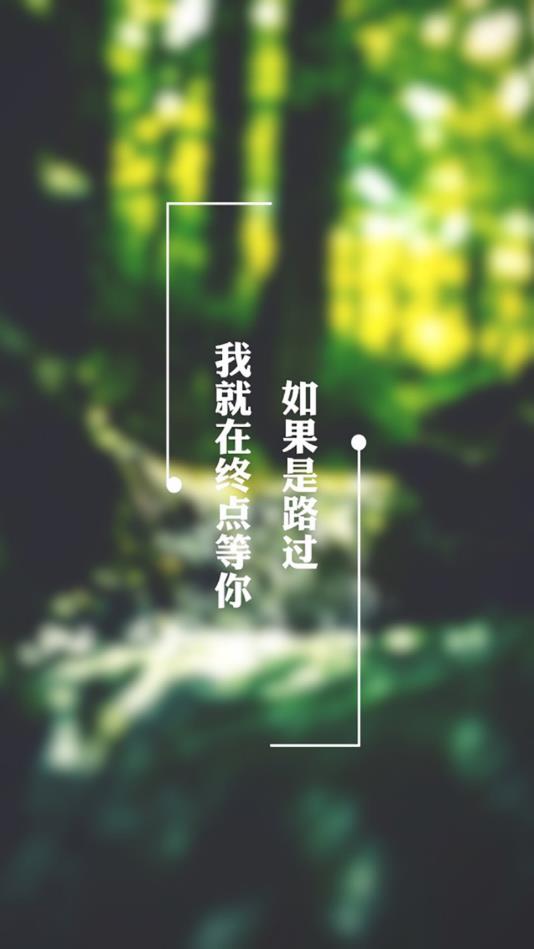 俏媒婆官方版
