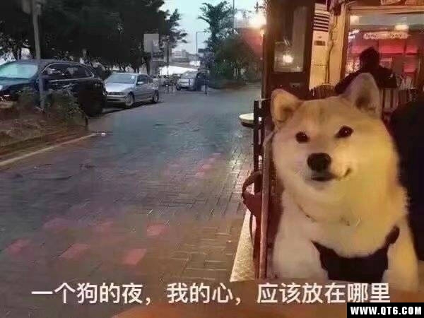 处cp一周