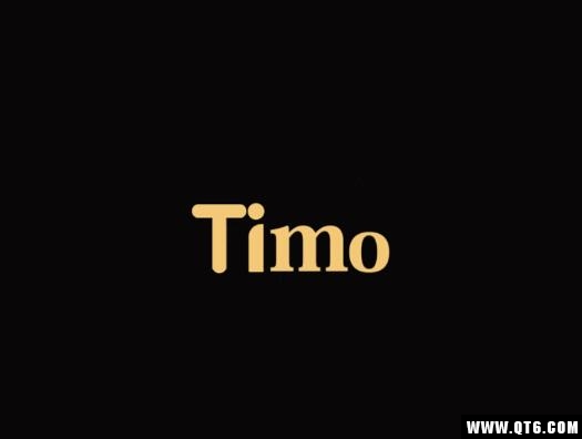 Timo社交软件