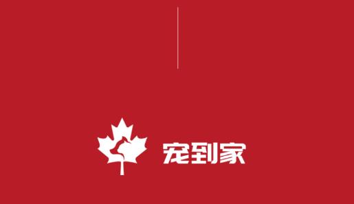 宠到家