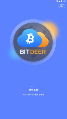 BitDeer
