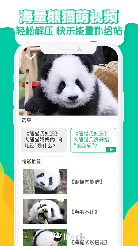 Ipanda熊猫频道APP软件官方