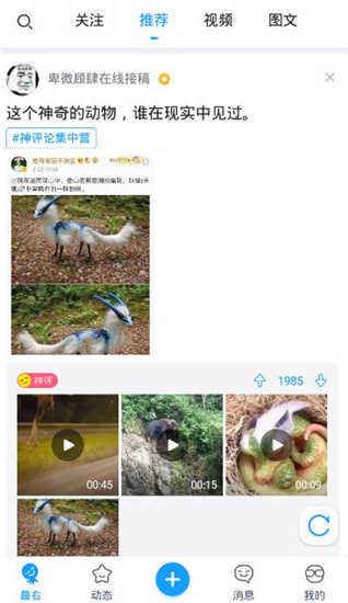 最右去广告版
