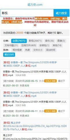 磁力王
