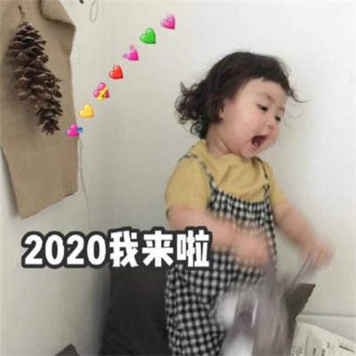 2020罗熙新年表情包