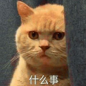 抖音我妈不让我跟傻子玩表情包