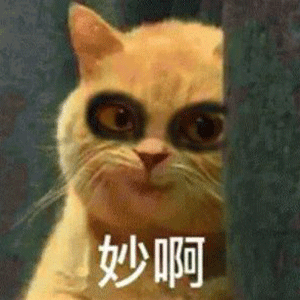 抖音我妈不让我跟傻子玩表情包