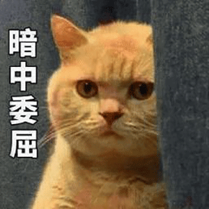 抖音我妈不让我跟傻子玩表情包