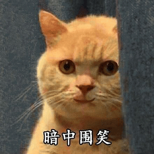 抖音我妈不让我跟傻子玩表情包
