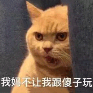 抖音我妈不让我跟傻子玩表情包