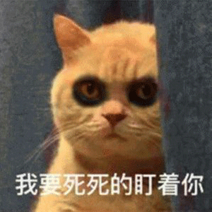 抖音我妈不让我跟傻子玩表情包