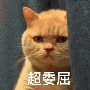 抖音我妈不让我跟傻子玩表情包