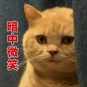抖音我妈不让我跟傻子玩表情包