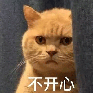 抖音我妈不让我跟傻子玩表情包