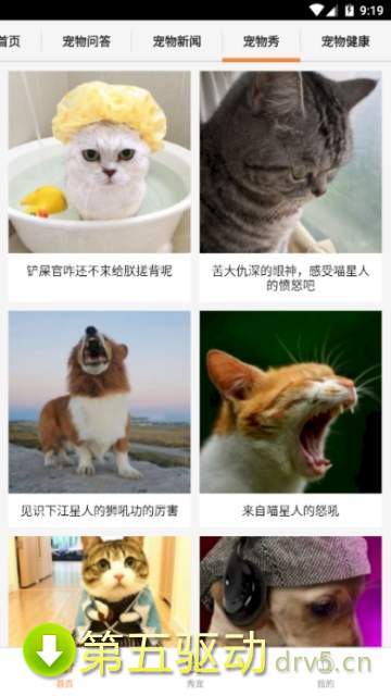 有乐宠物