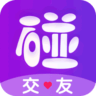 碰对app