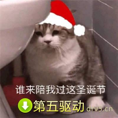猫咪圣诞帽表情包