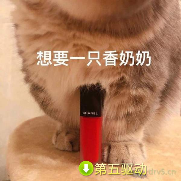 套路老公买口红表情包