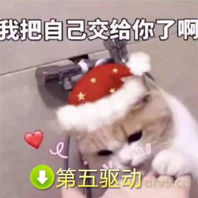 猫咪圣诞帽表情包