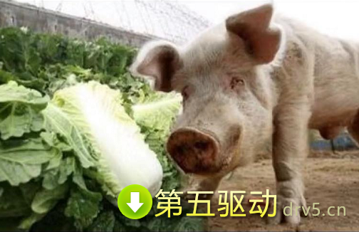 抖音老牛吃嫩草表情包