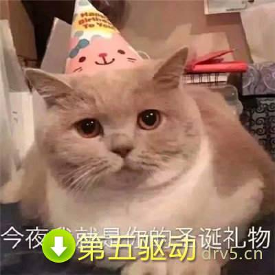 猫咪圣诞帽表情包