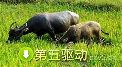 抖音老牛吃嫩草表情包