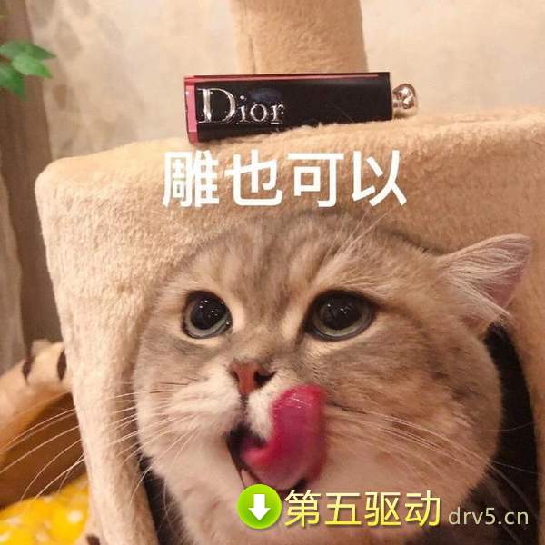 套路老公买口红表情包