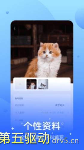 兔呼社交