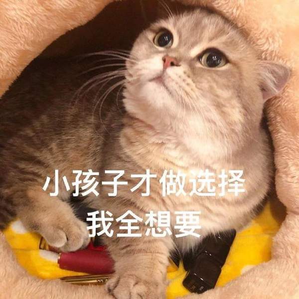 套路老公买口红表情包